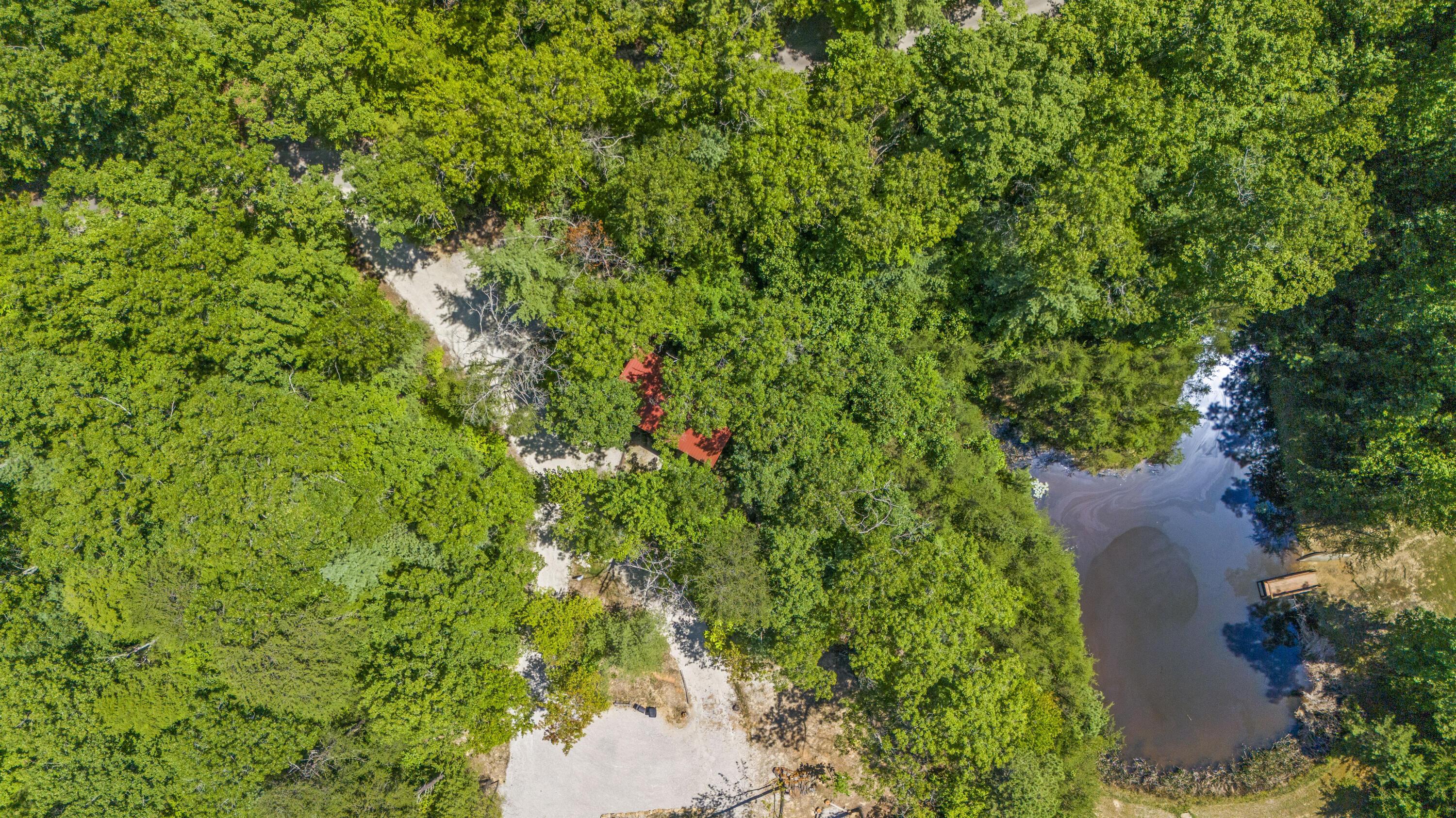 Image 2: DJI_20240813131909_0034_D