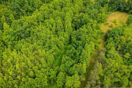 165 Pomeroyton Wellington Road