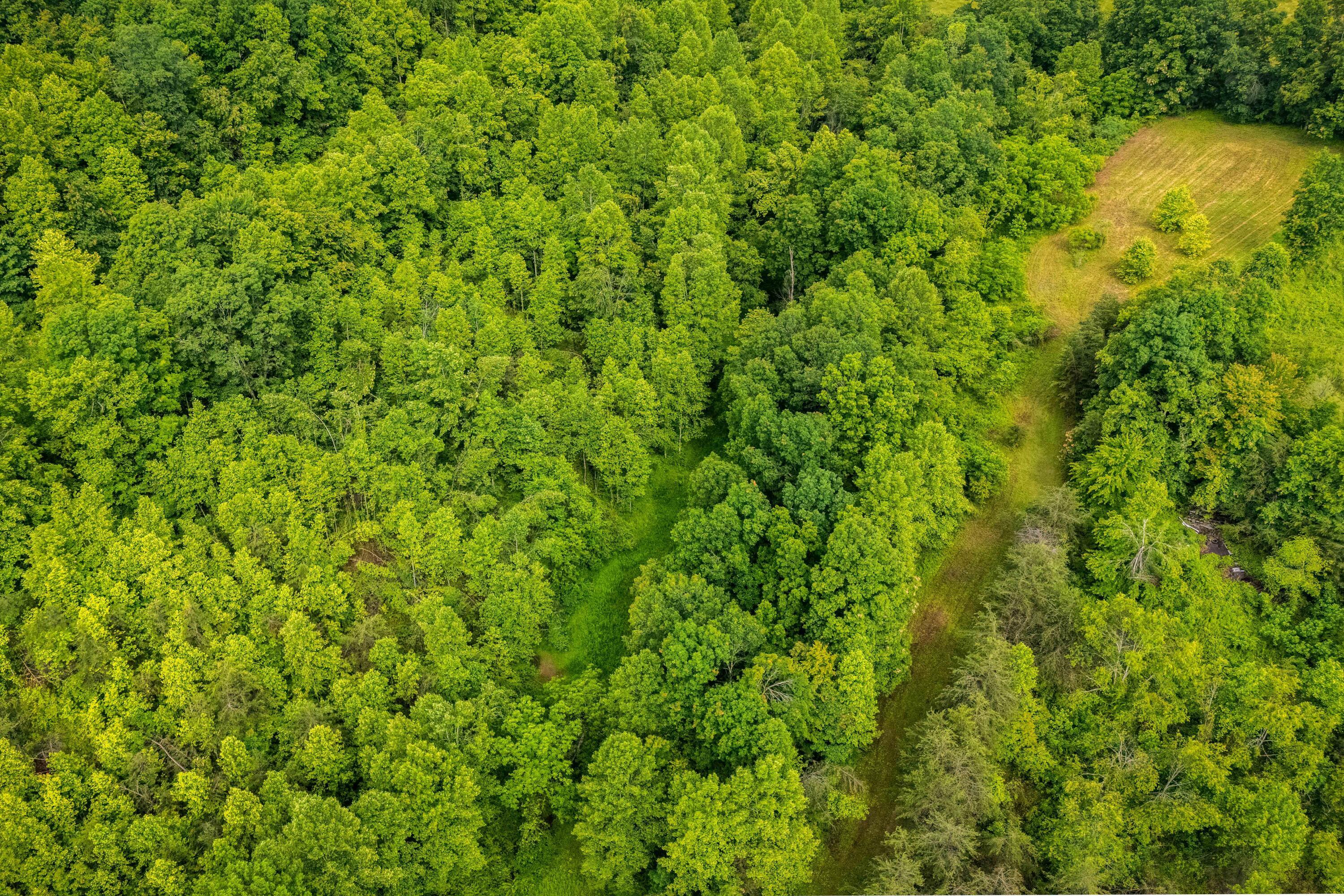 Image 1: Smaller Size1