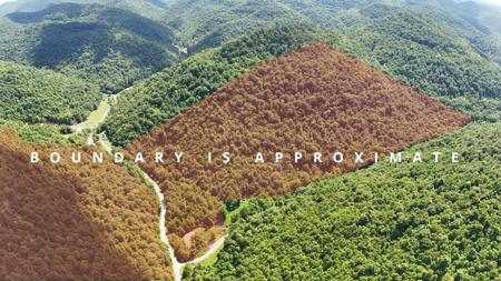 0 Stinking Creek Hwy 718