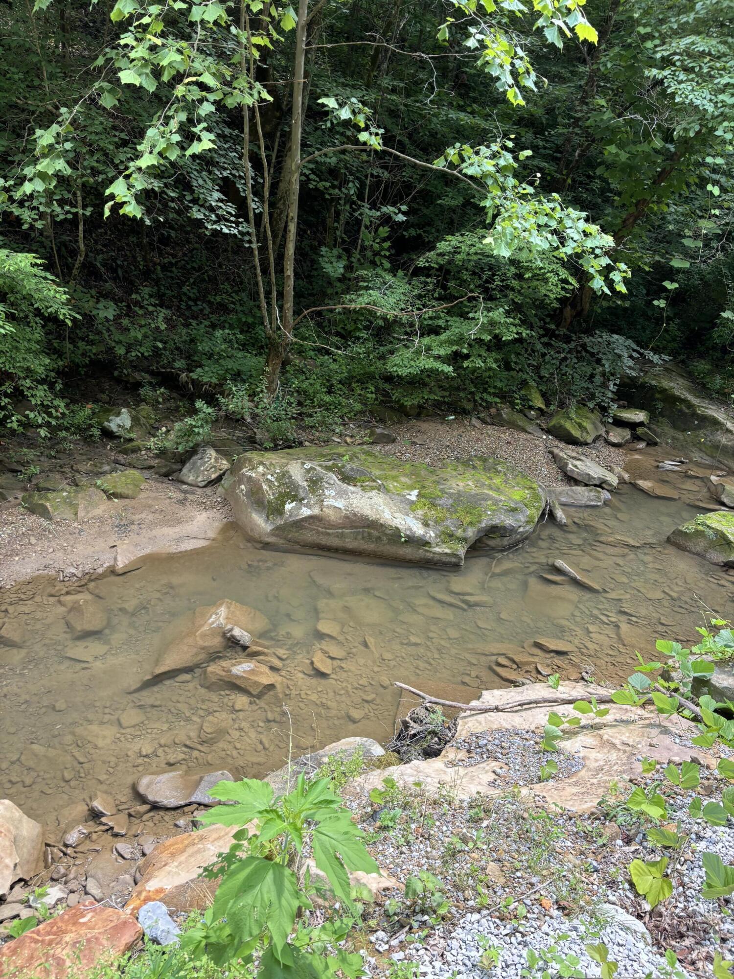 Image 4: IMG_7448