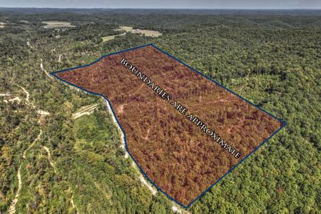 9999 Buffalo Branch Rd.