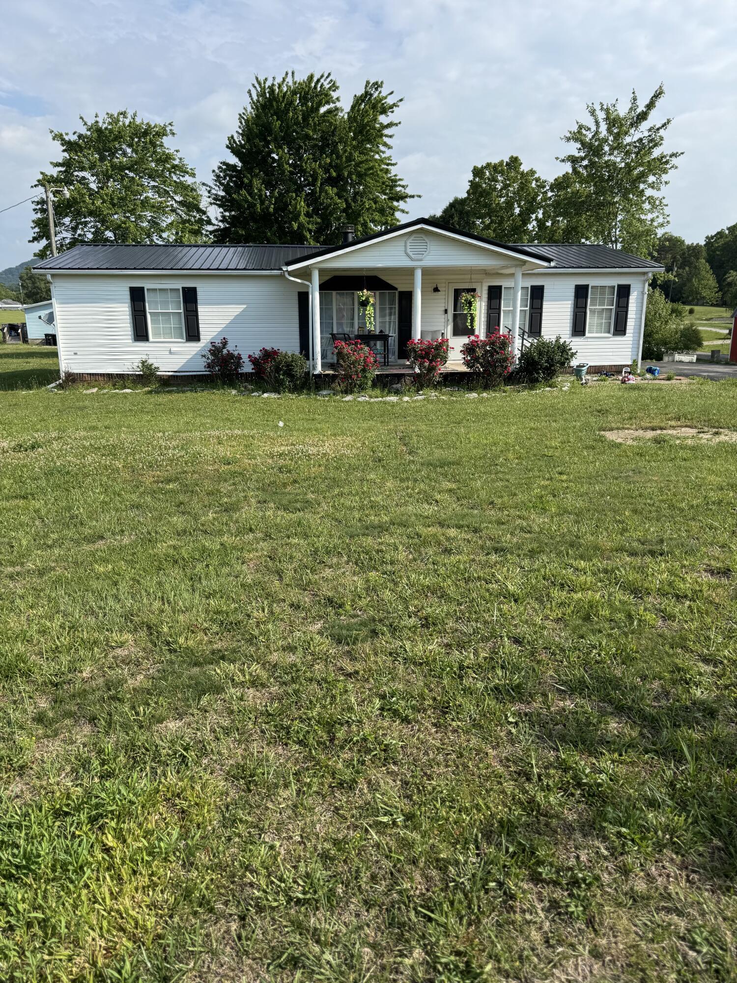 Image 3: IMG_0340