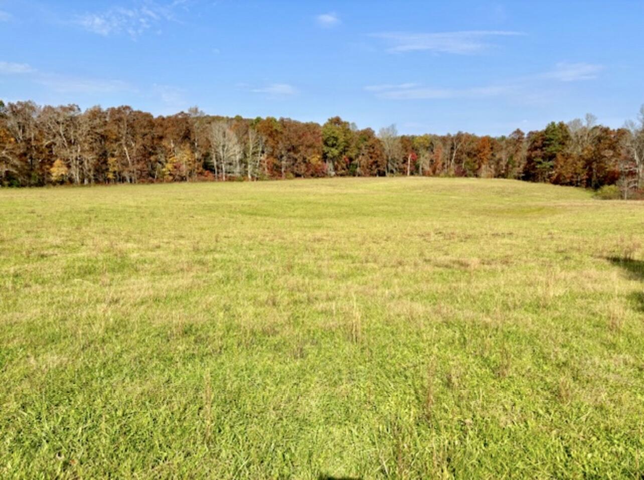 Image 1: Property