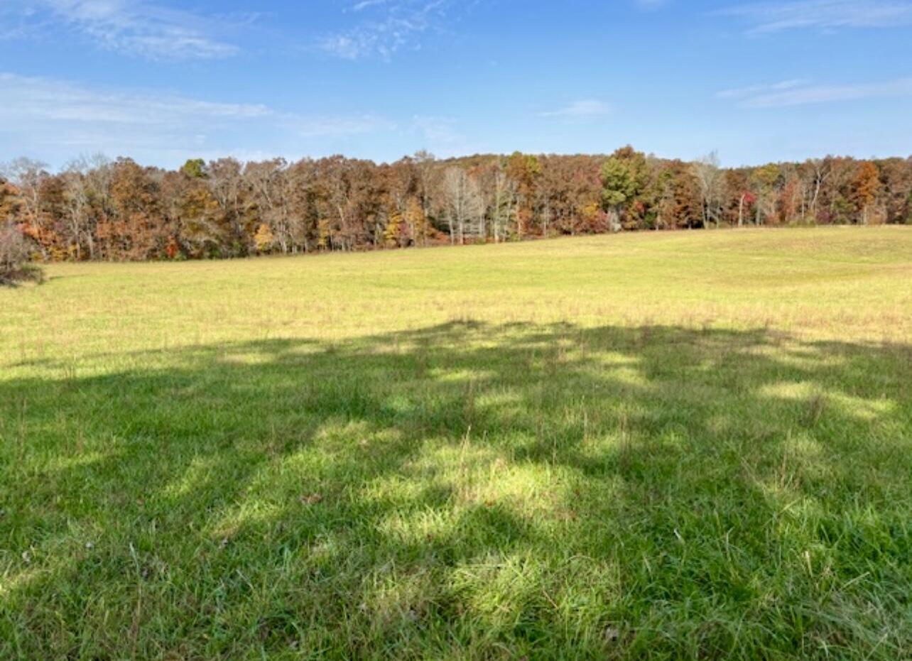 Image 2: Property 2