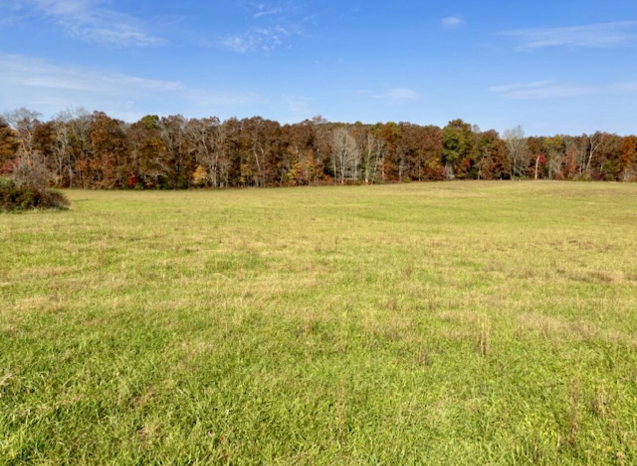 Image 3: Property 3