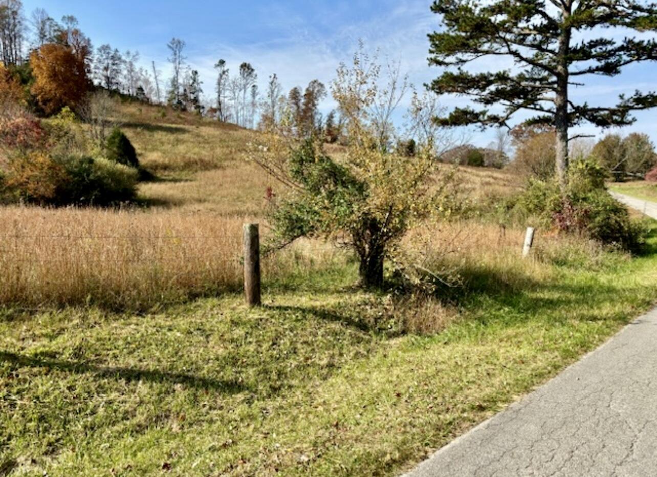 Image 4: Property 4