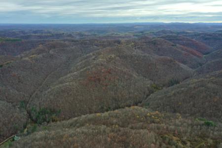 Tract 1 Cow Fork Road
