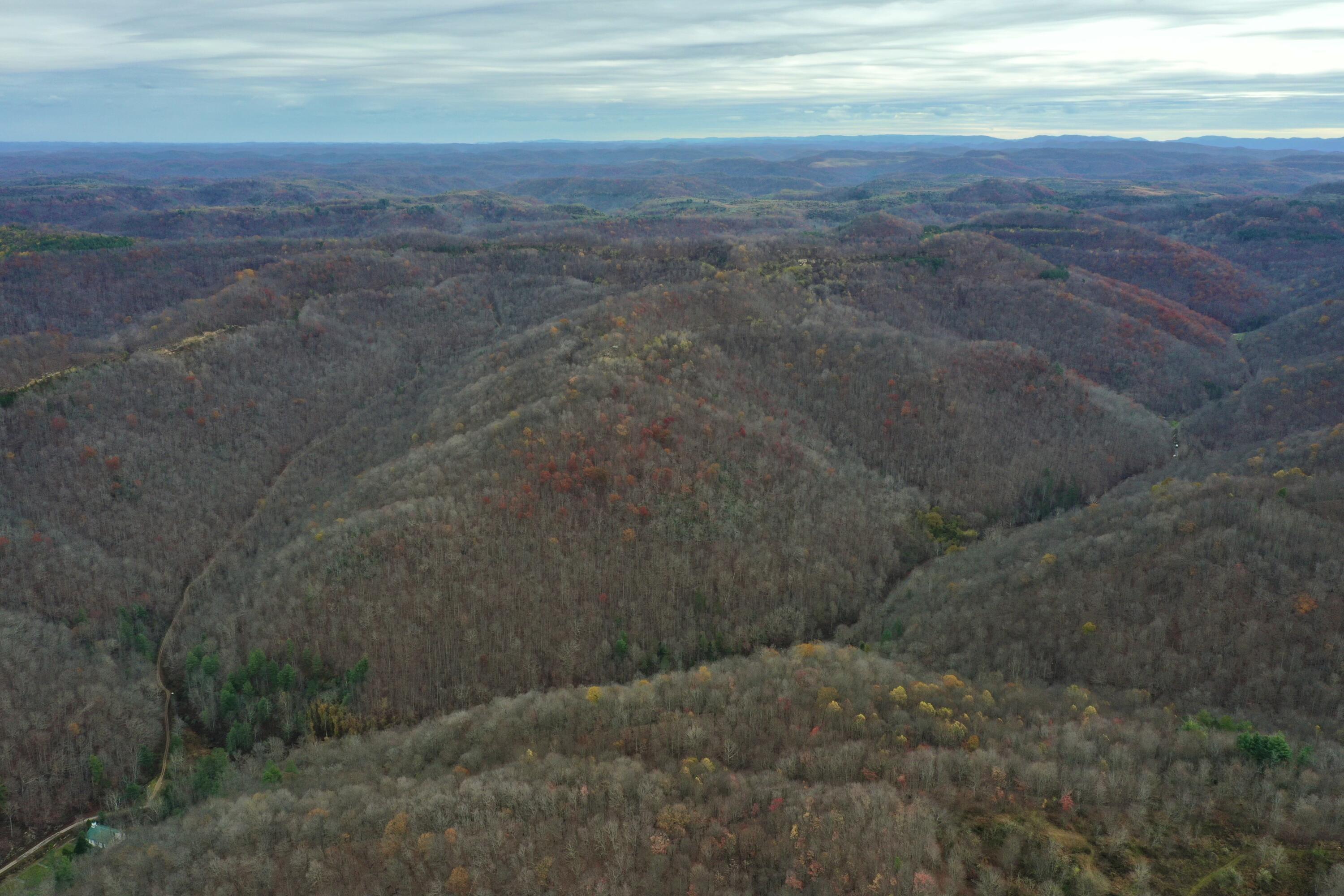 Image 1: DJI_0579