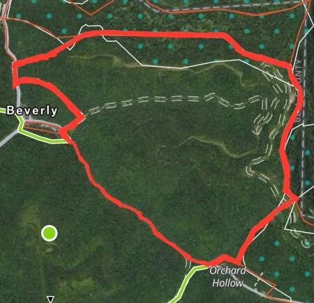 Image 2: 569 acres Cow Fork