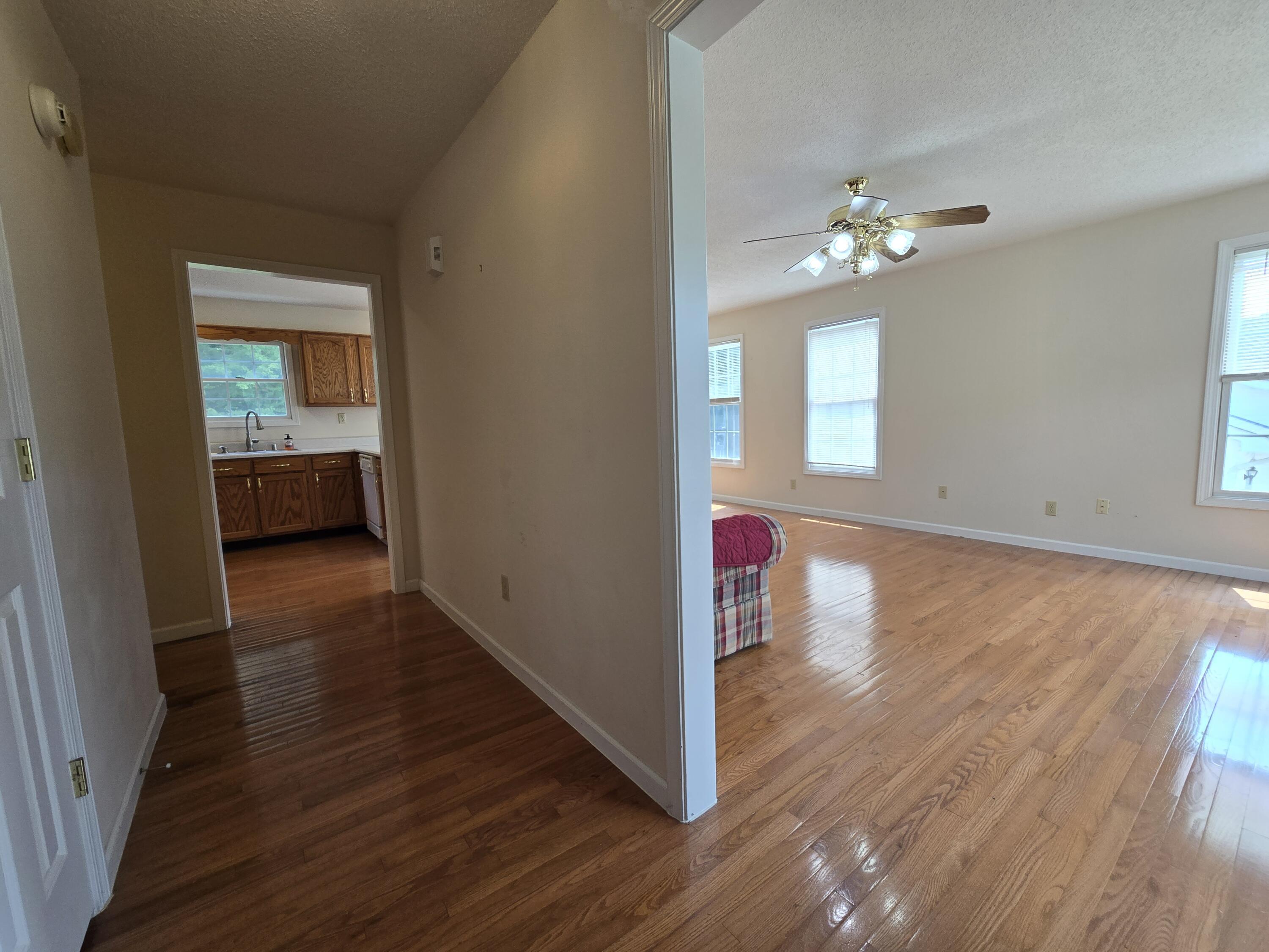 Image 2: 20250905_143850