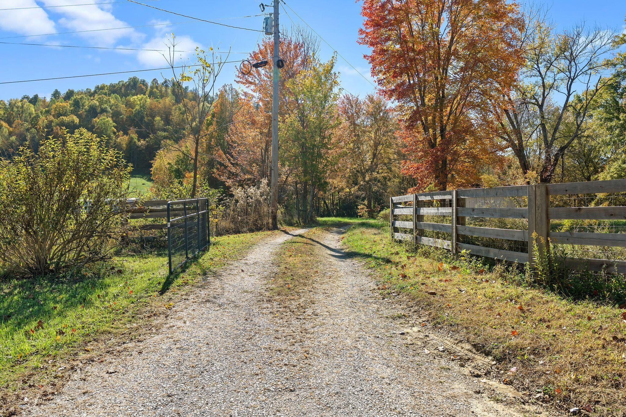 Image 1: 46_F2007678