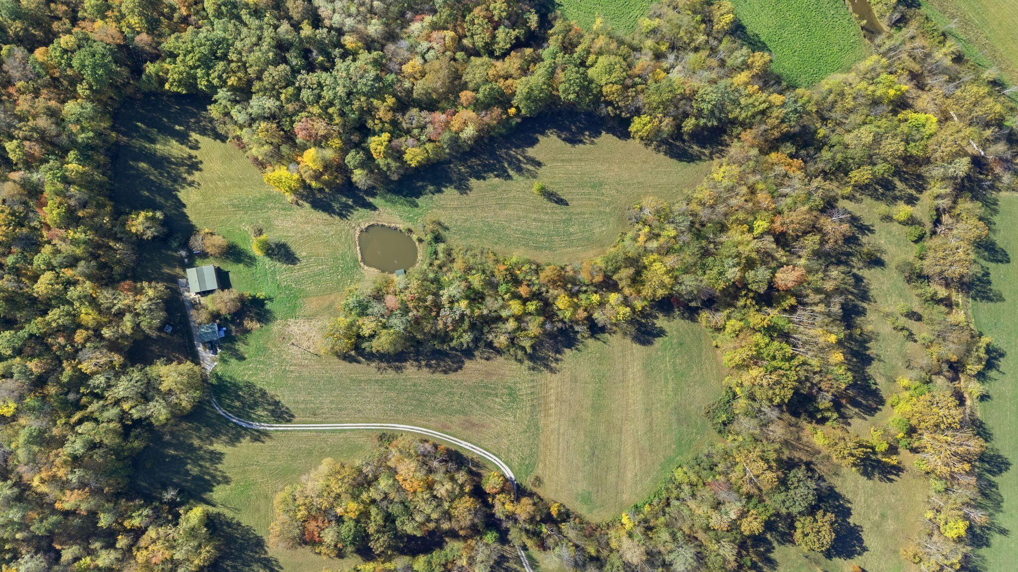 Image 4: 9_DJI_20251022145738_0584_D