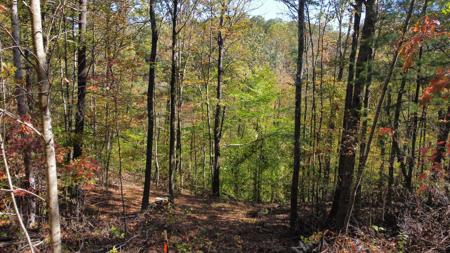 Lot #51 The Reserve At Cliffview