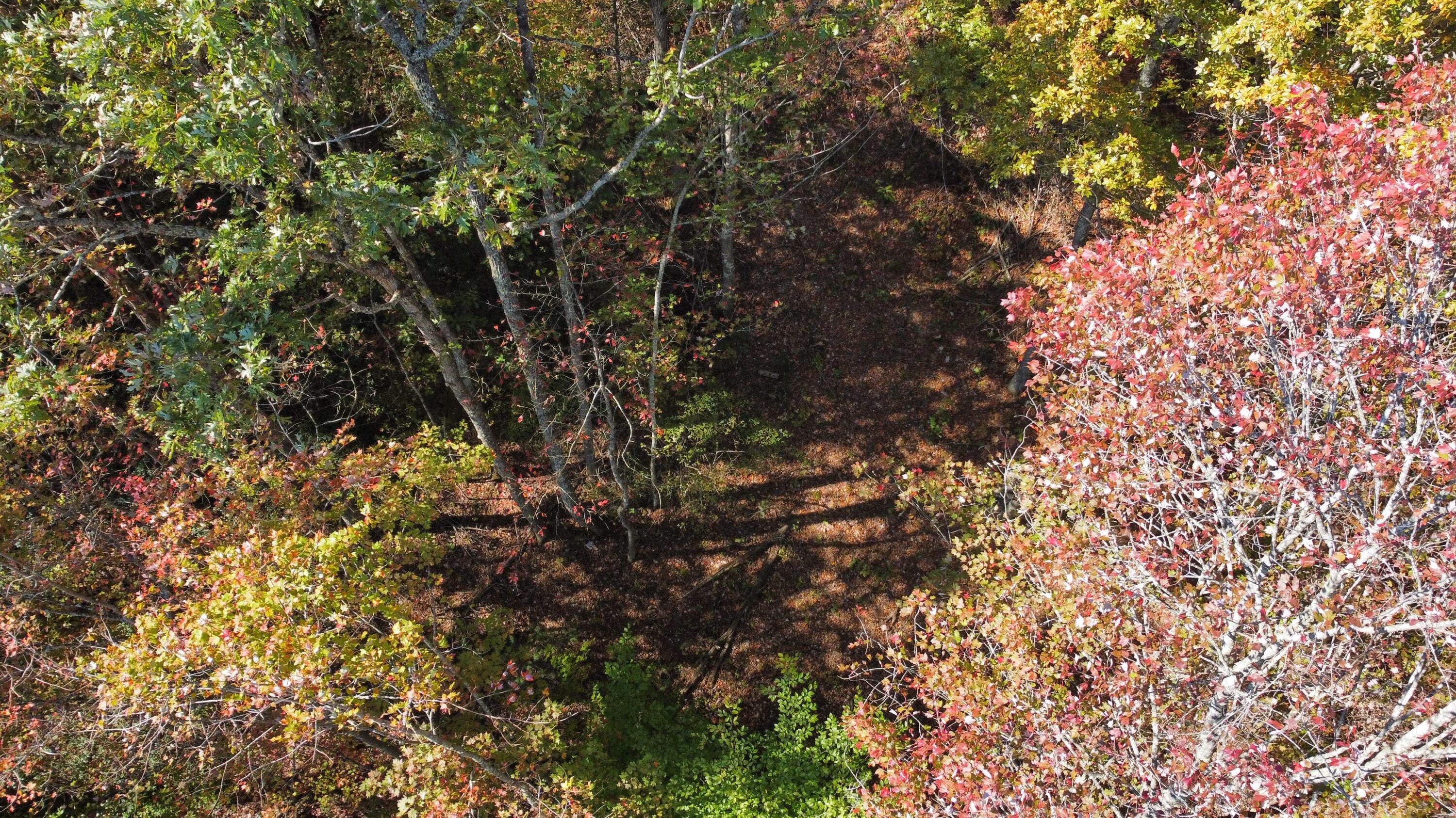Image 4: 4