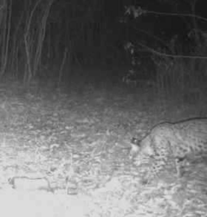 Image 4: 747875128363085996