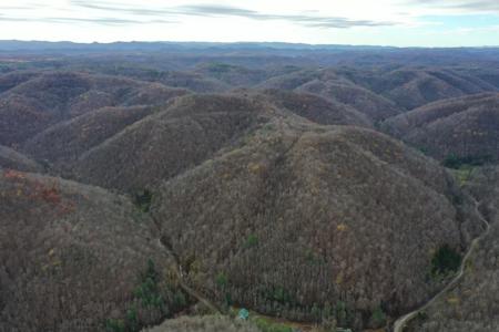 Tract 2 Cow Fork Road