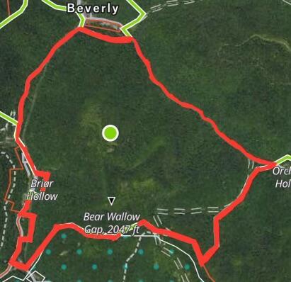 Image 2: 486 Acres Cow Fork