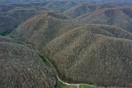 Tract 3 Cow Fork Road