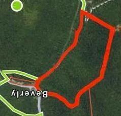 Image 2: 95 Acres Cow Fork