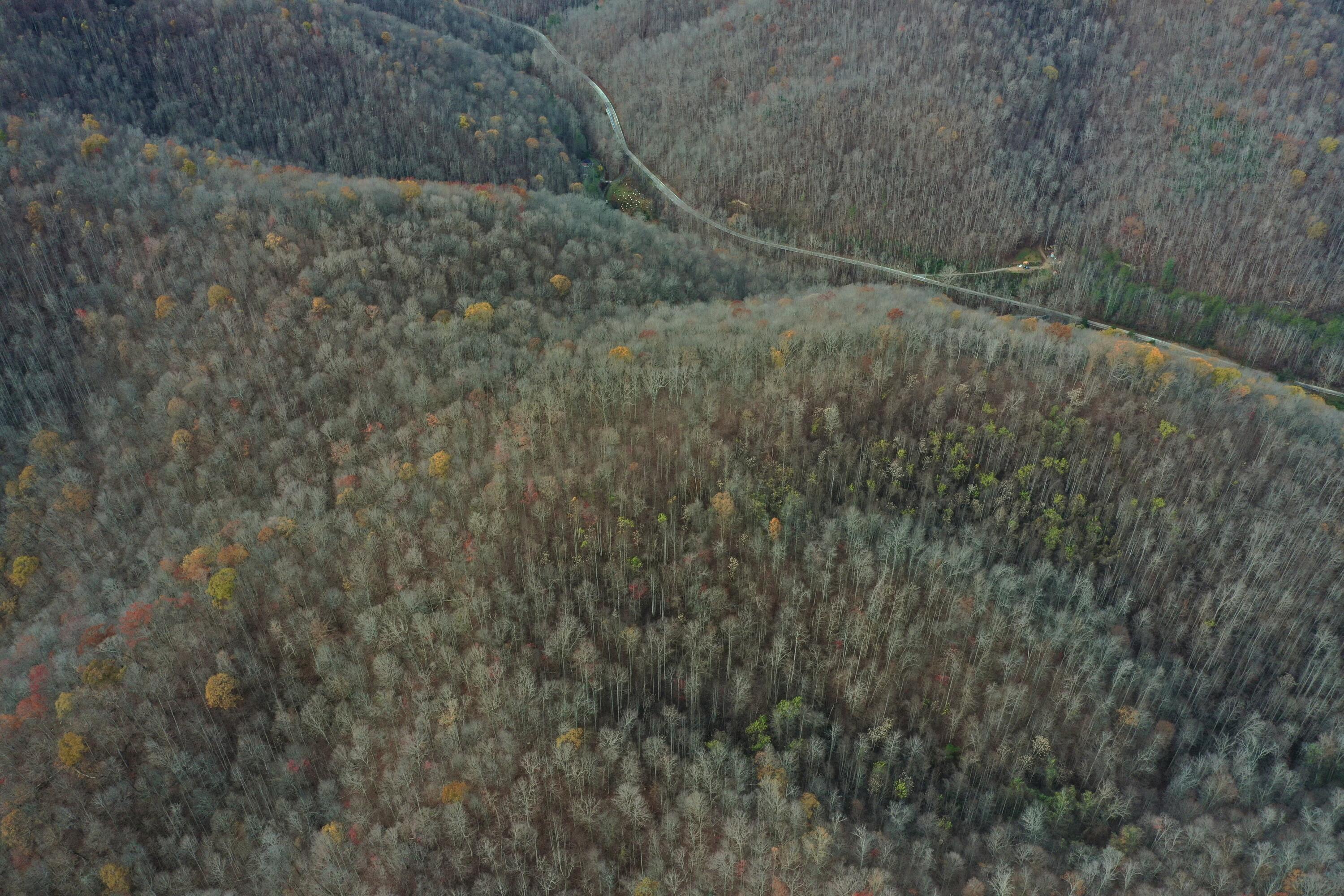 Image 4: DJI_0571