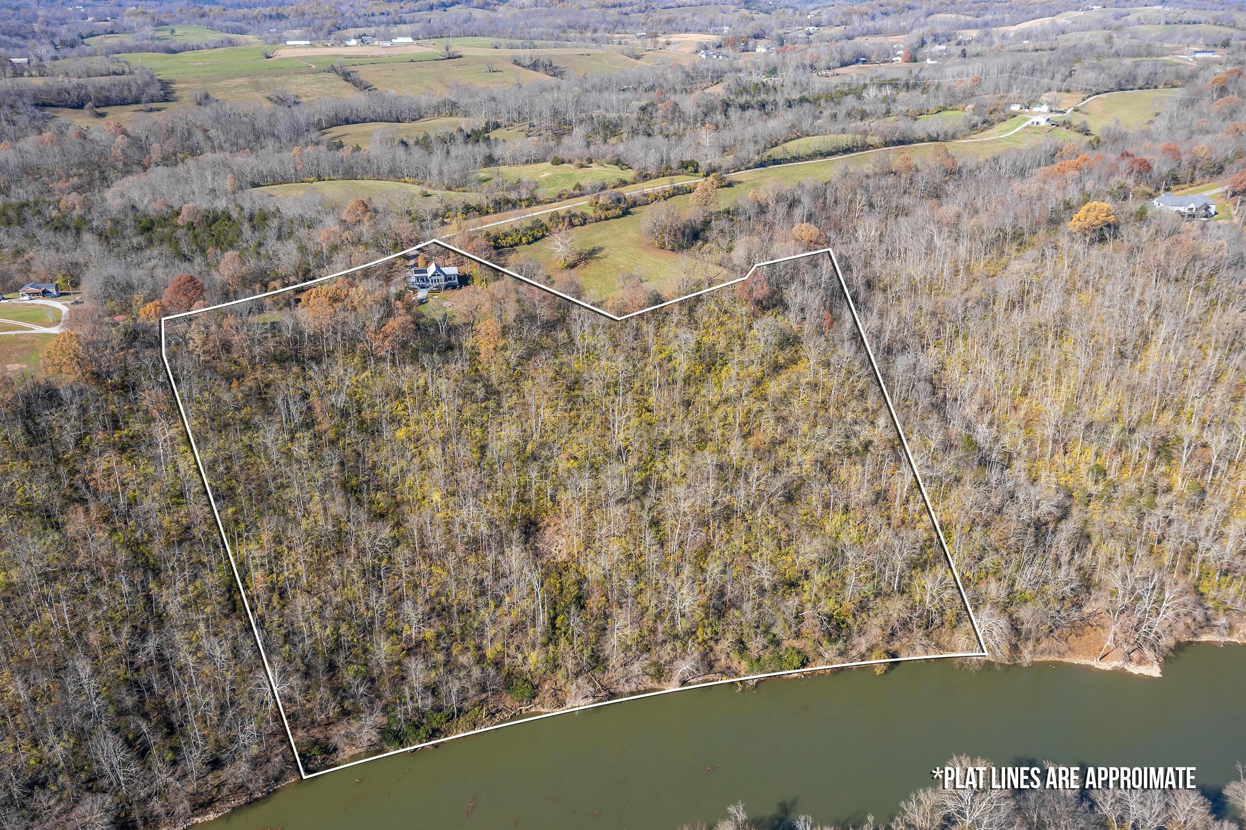 Image 4: 1801henry61