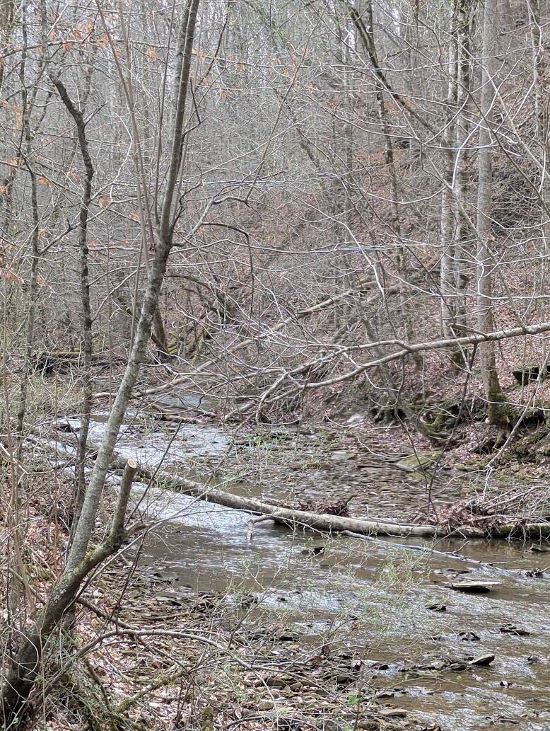 Image 2: PXL_20260305_194215515