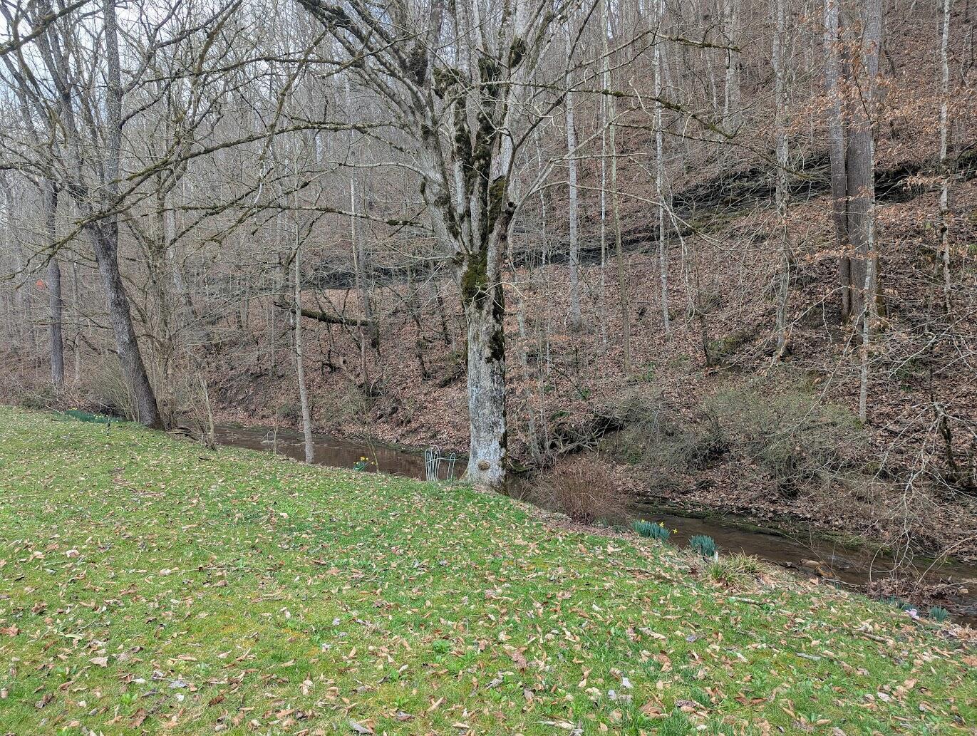 Image 4: PXL_20260305_183640322.MP