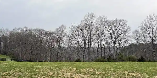 Lot 93 Stillwater