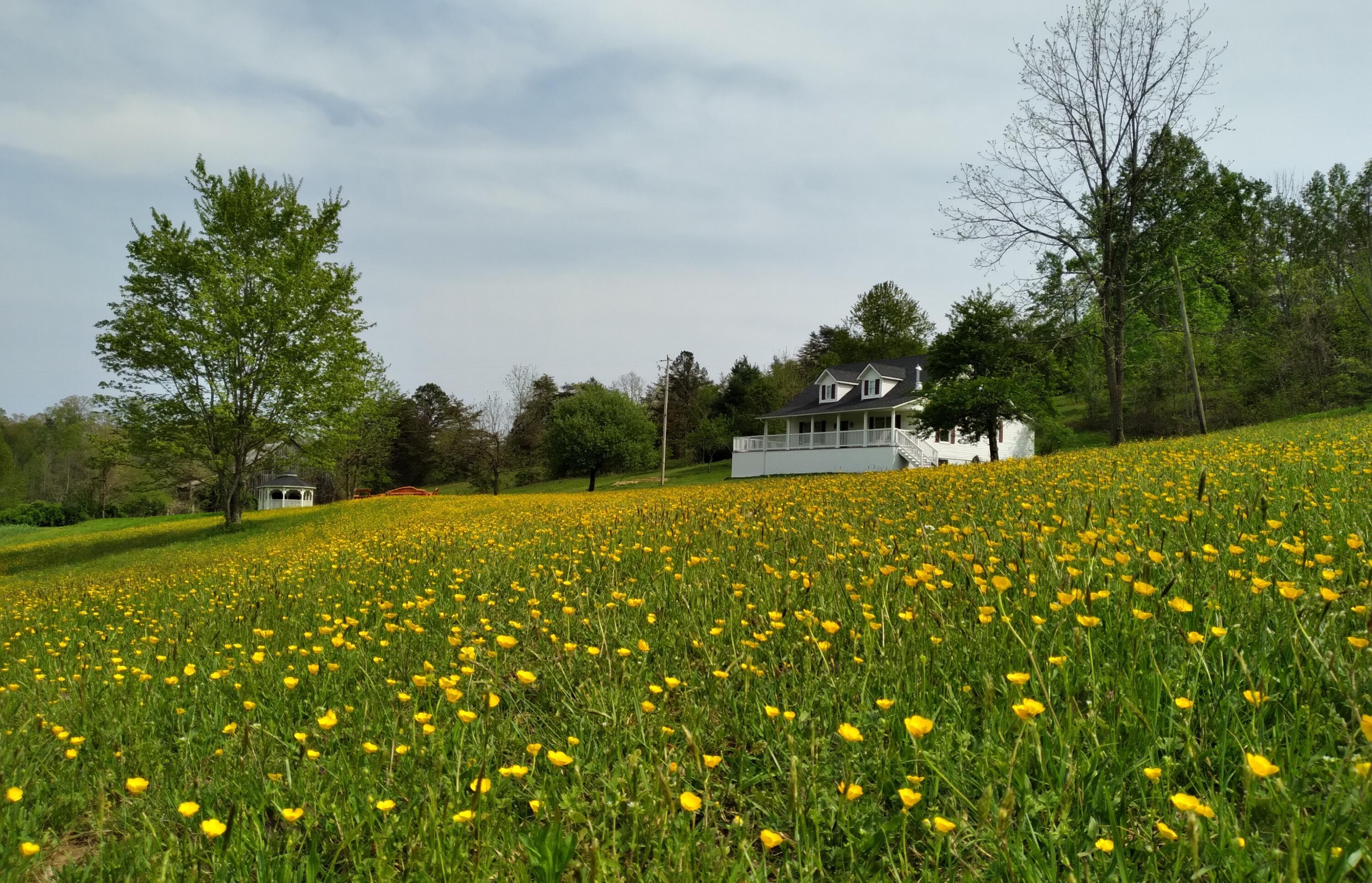 Image 3: 20220504_001010