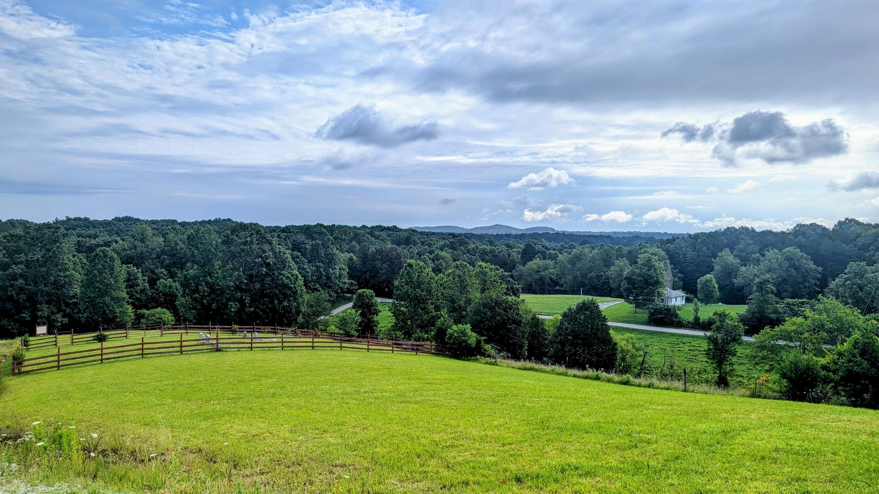 Image 4: 1000012045