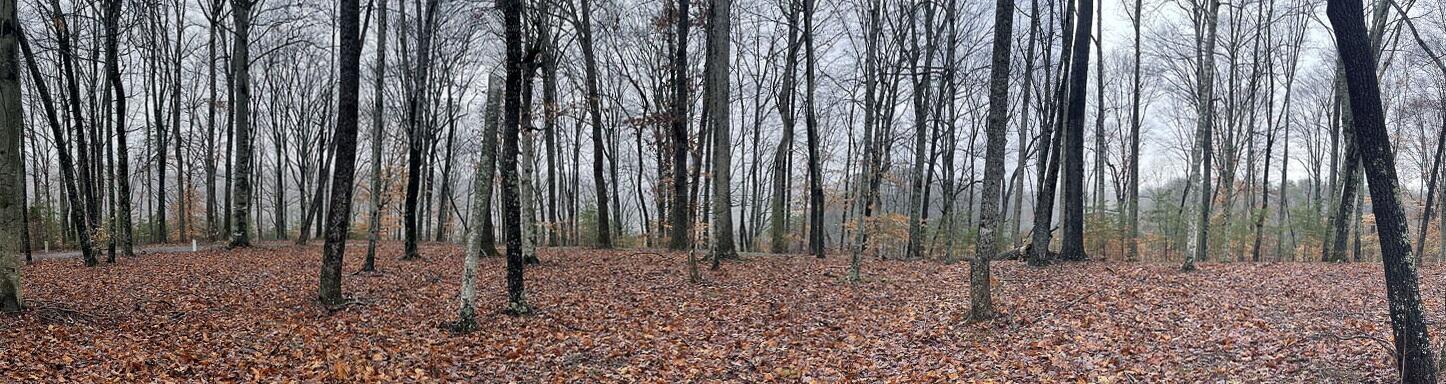 Image 2: panarama2
