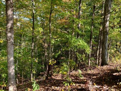 Lot 7 Sky Ridge Retreats