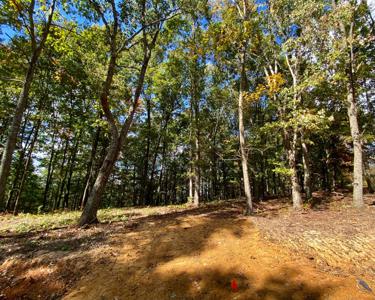 Lot 11 Sky Ridge Retreats