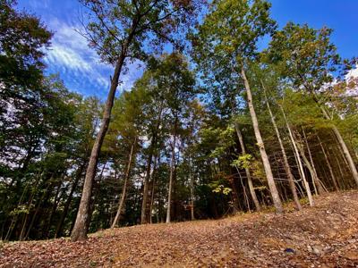 Lot 12 Sky Ridge Retreats