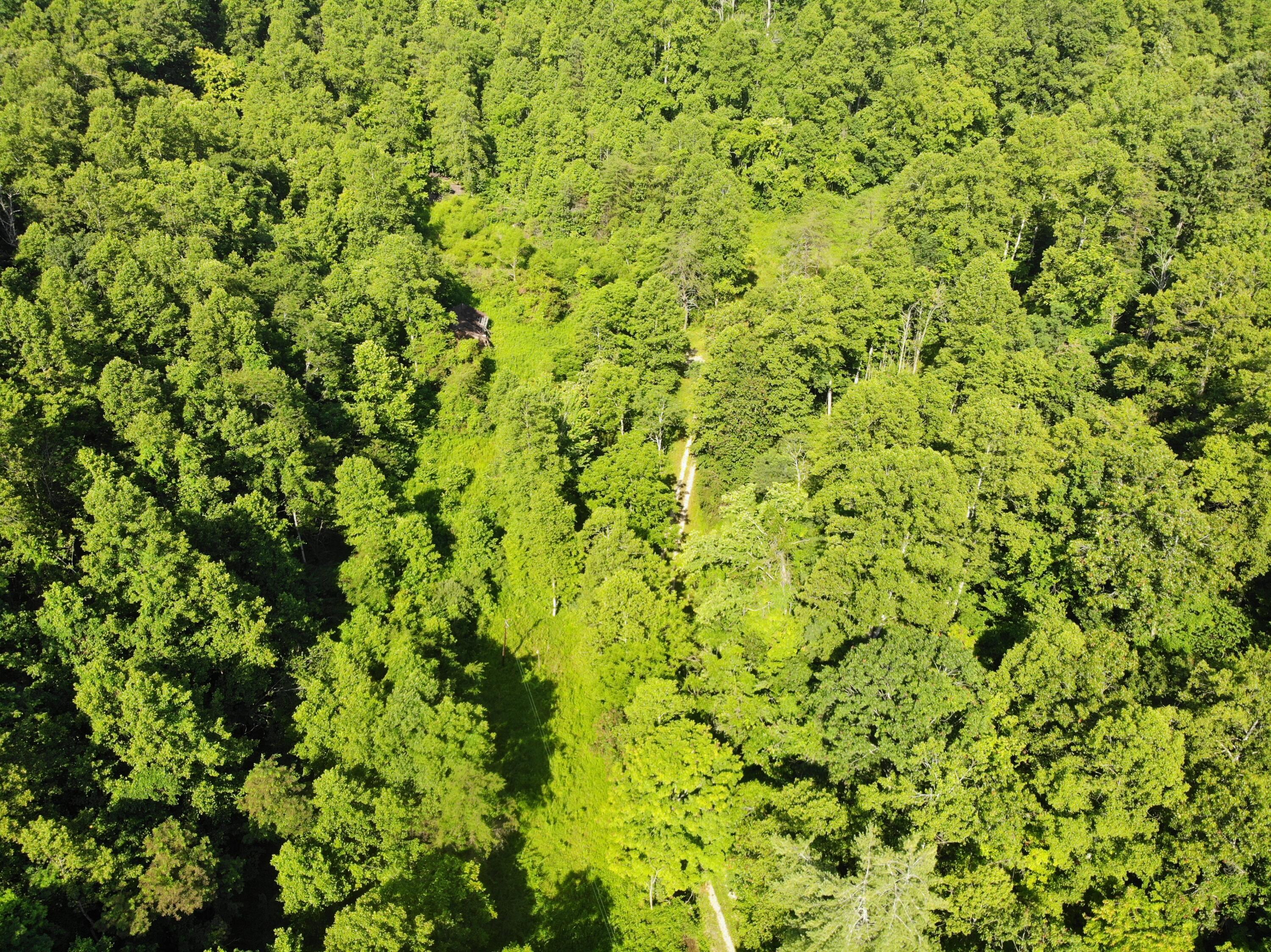 Image 2: DJI_0115