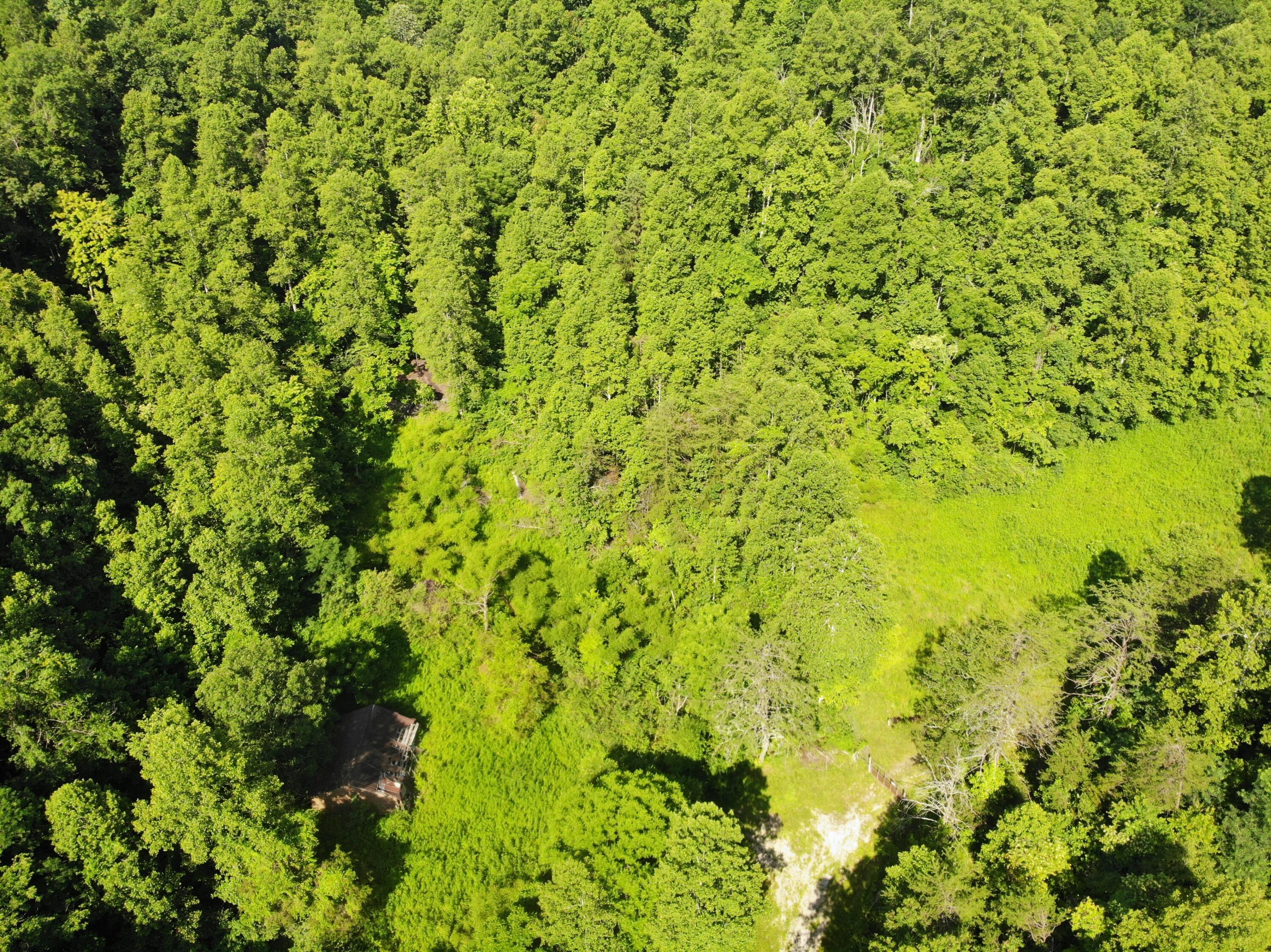 Image 3: DJI_0116