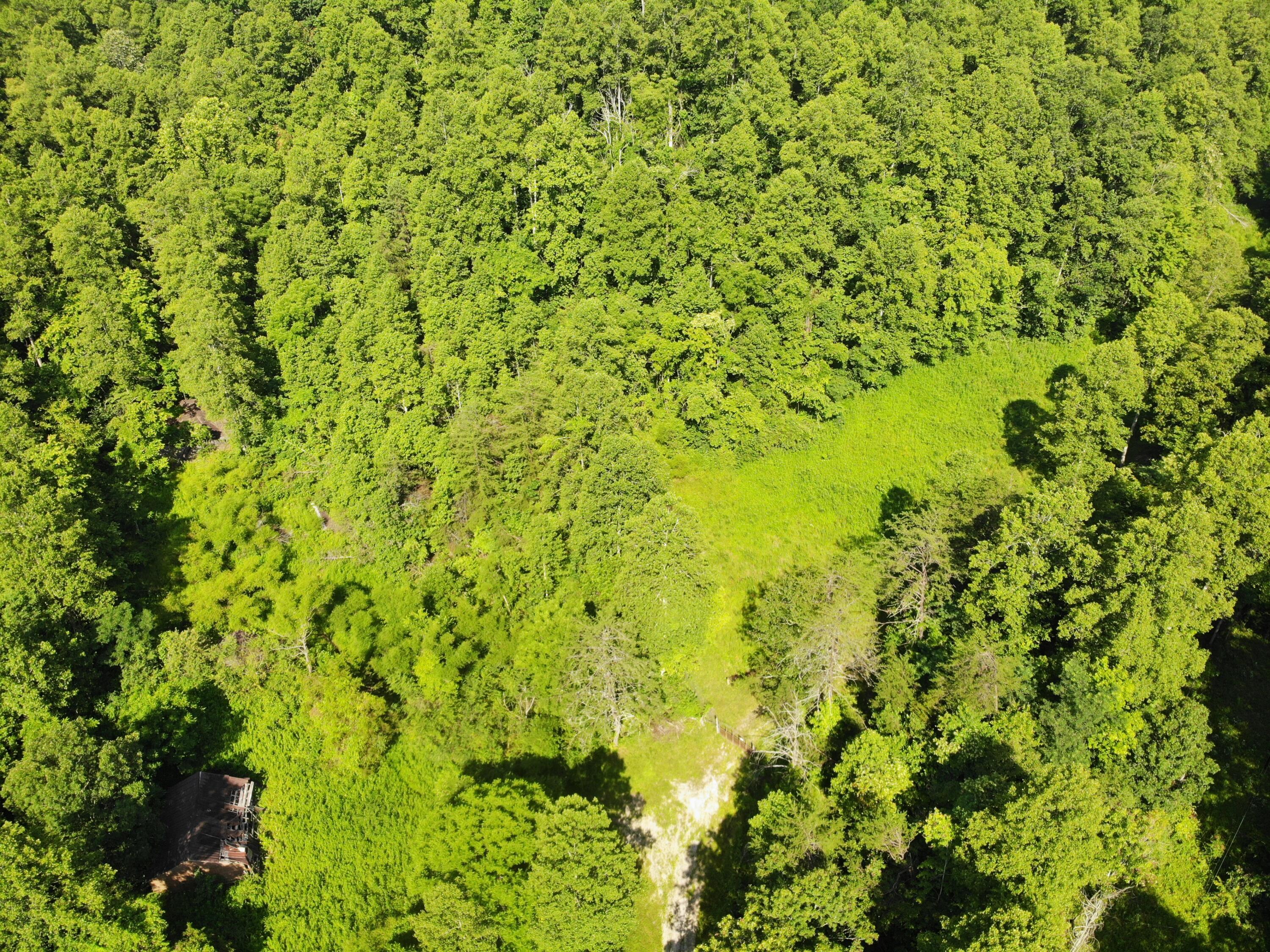 Image 4: DJI_0117
