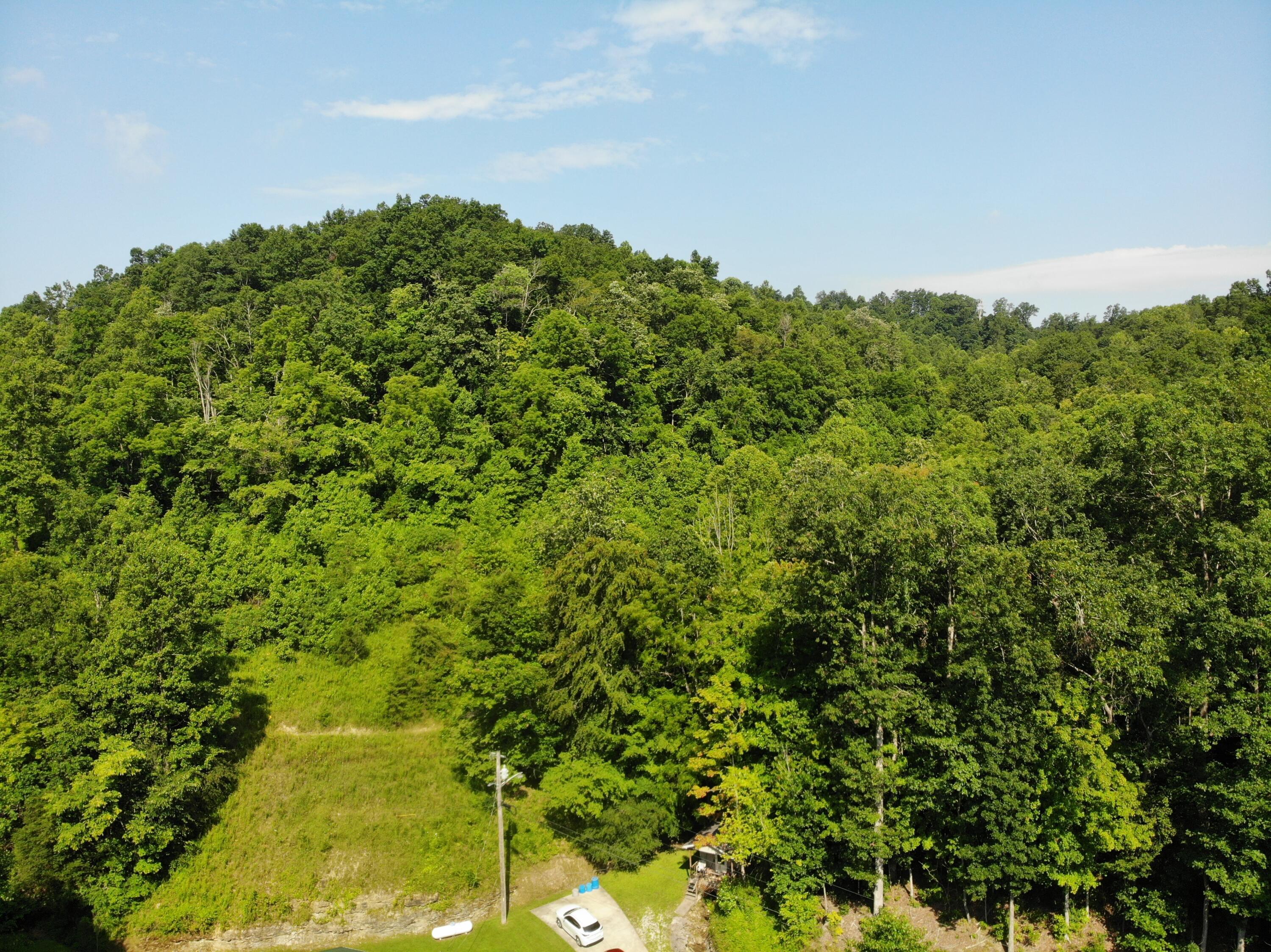 Image 3: DJI_0124