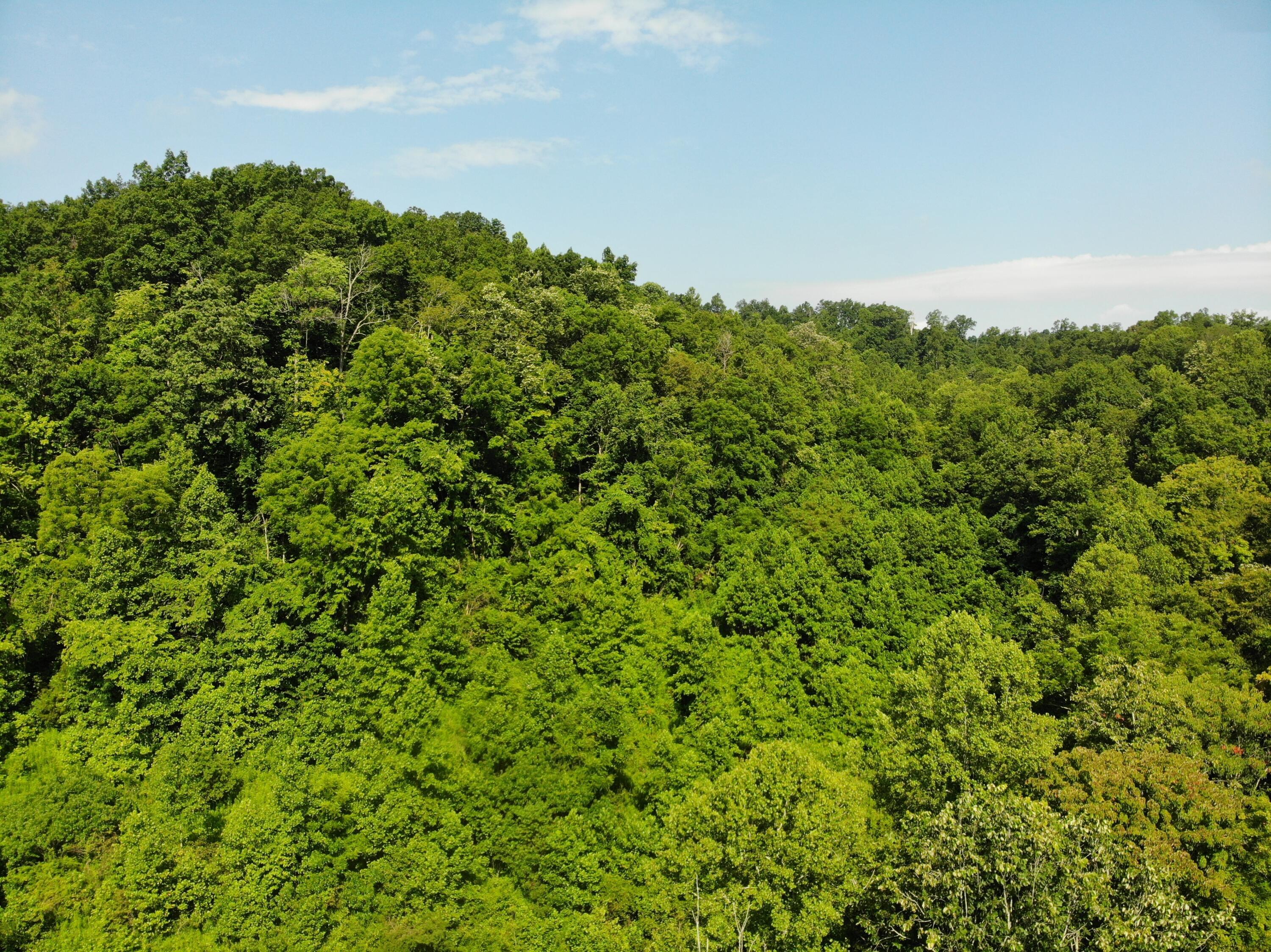 Image 4: DJI_0125