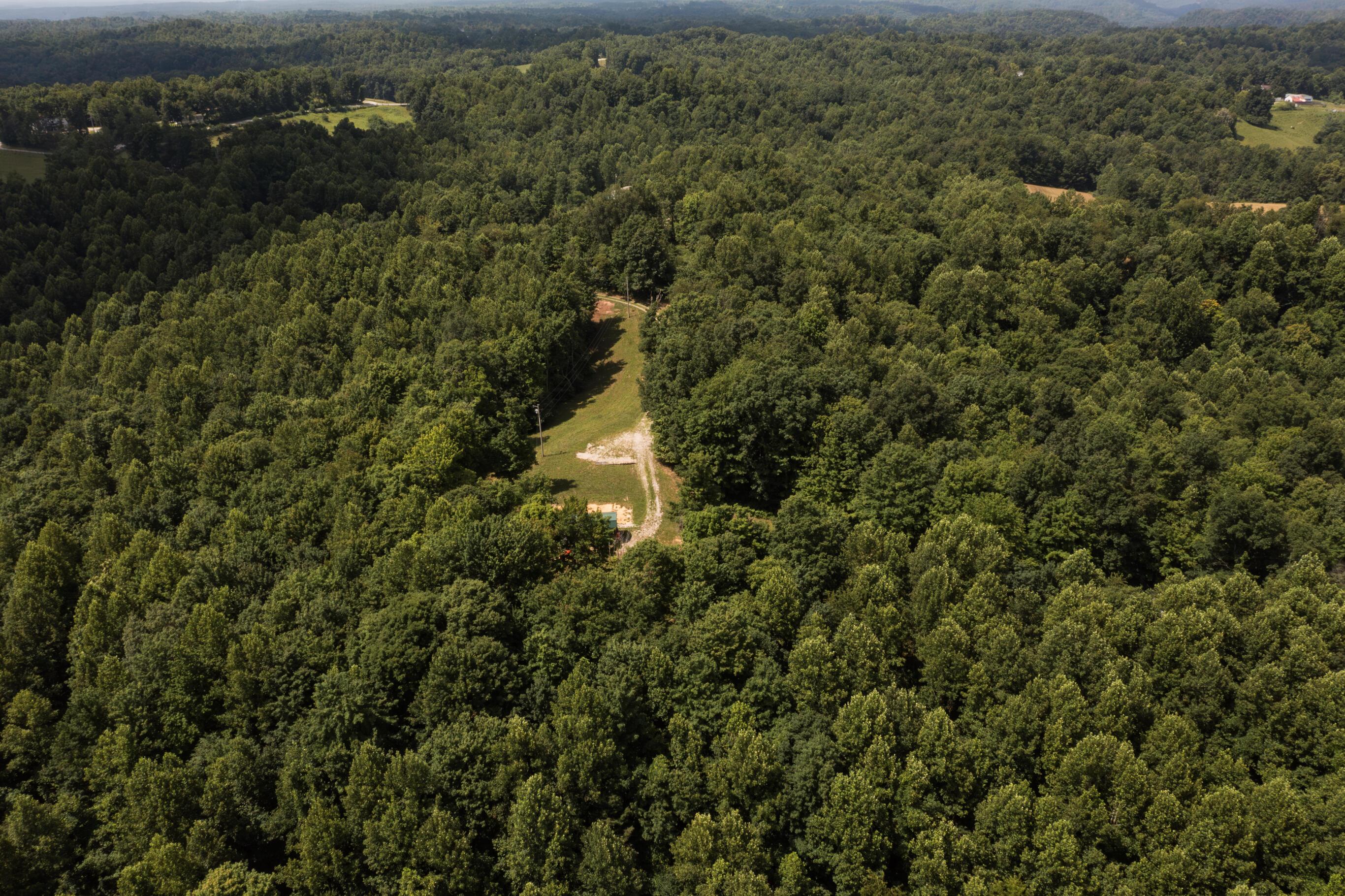 Image 3: DJI_0036