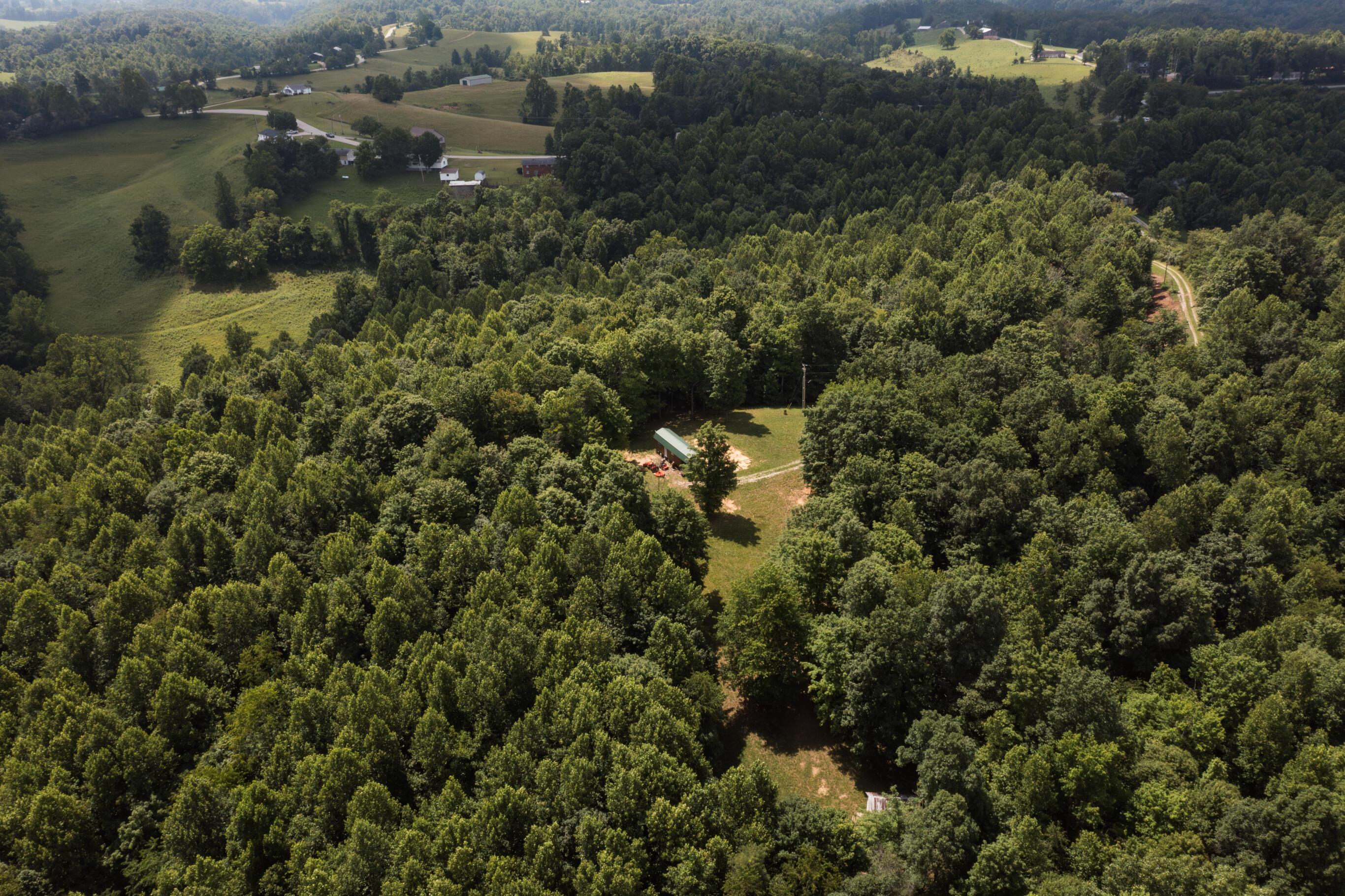 Image 4: DJI_0038