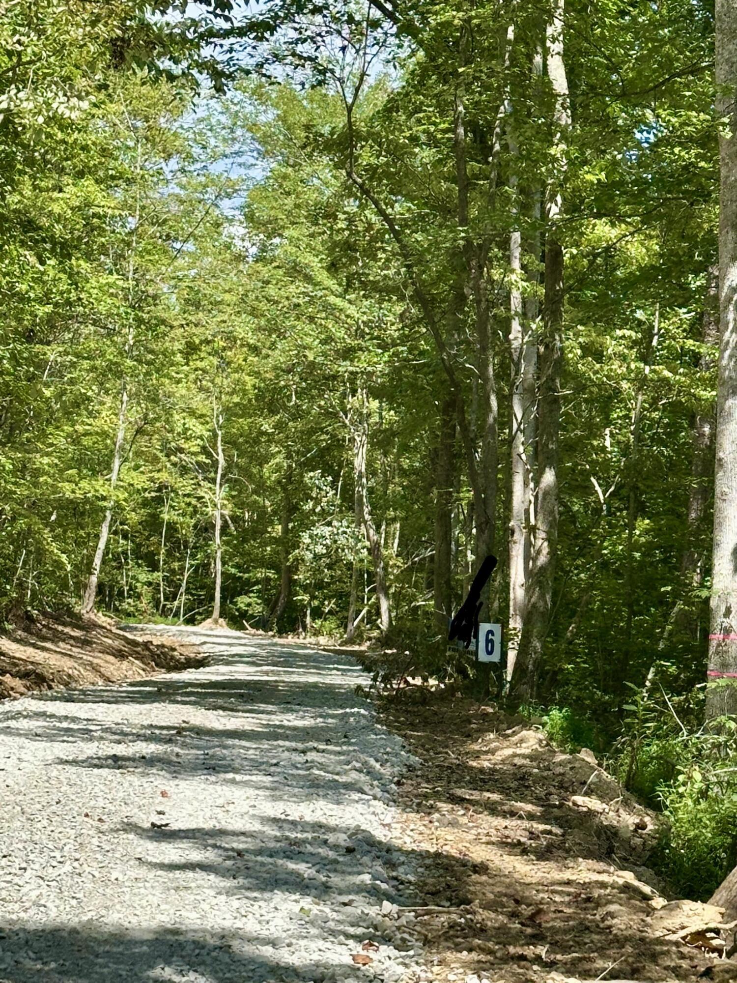 Image 3: Nestled in Woods