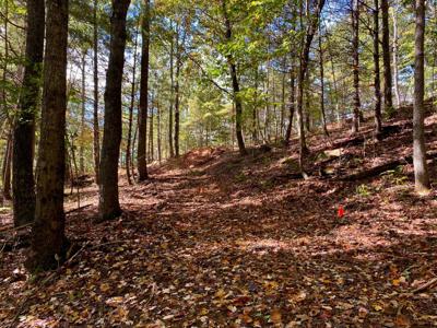 Lot 15 Sky Ridge Retreats