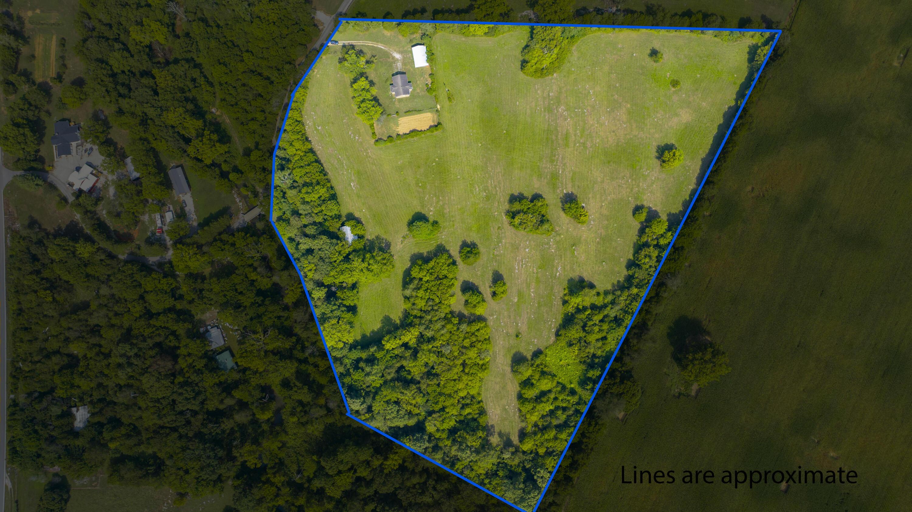 Image 2: Gene Gray rd-0