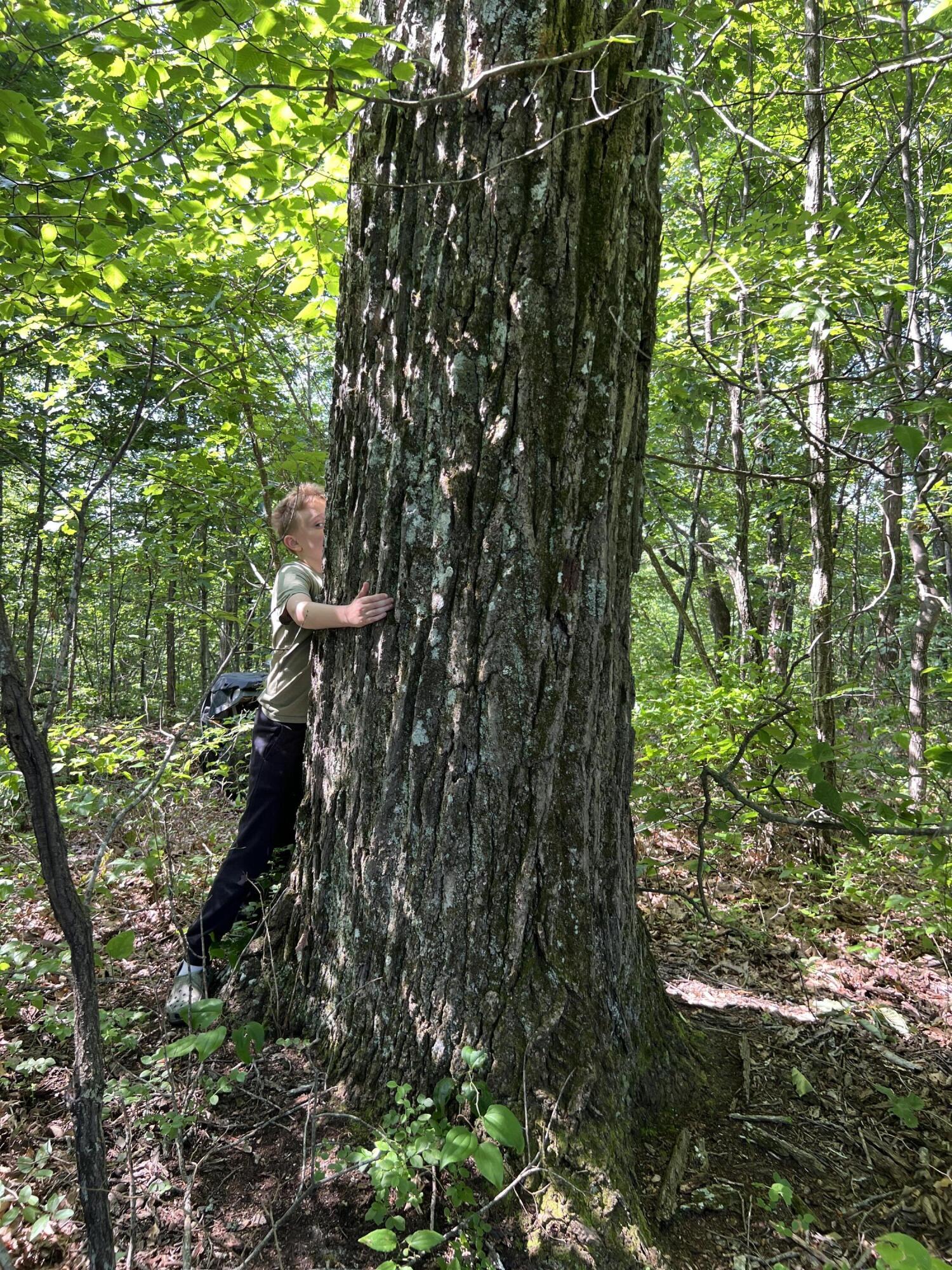 Image 3: IMG_5929 (1)