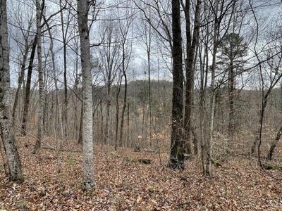 Lot 20 Haynes Knob Road