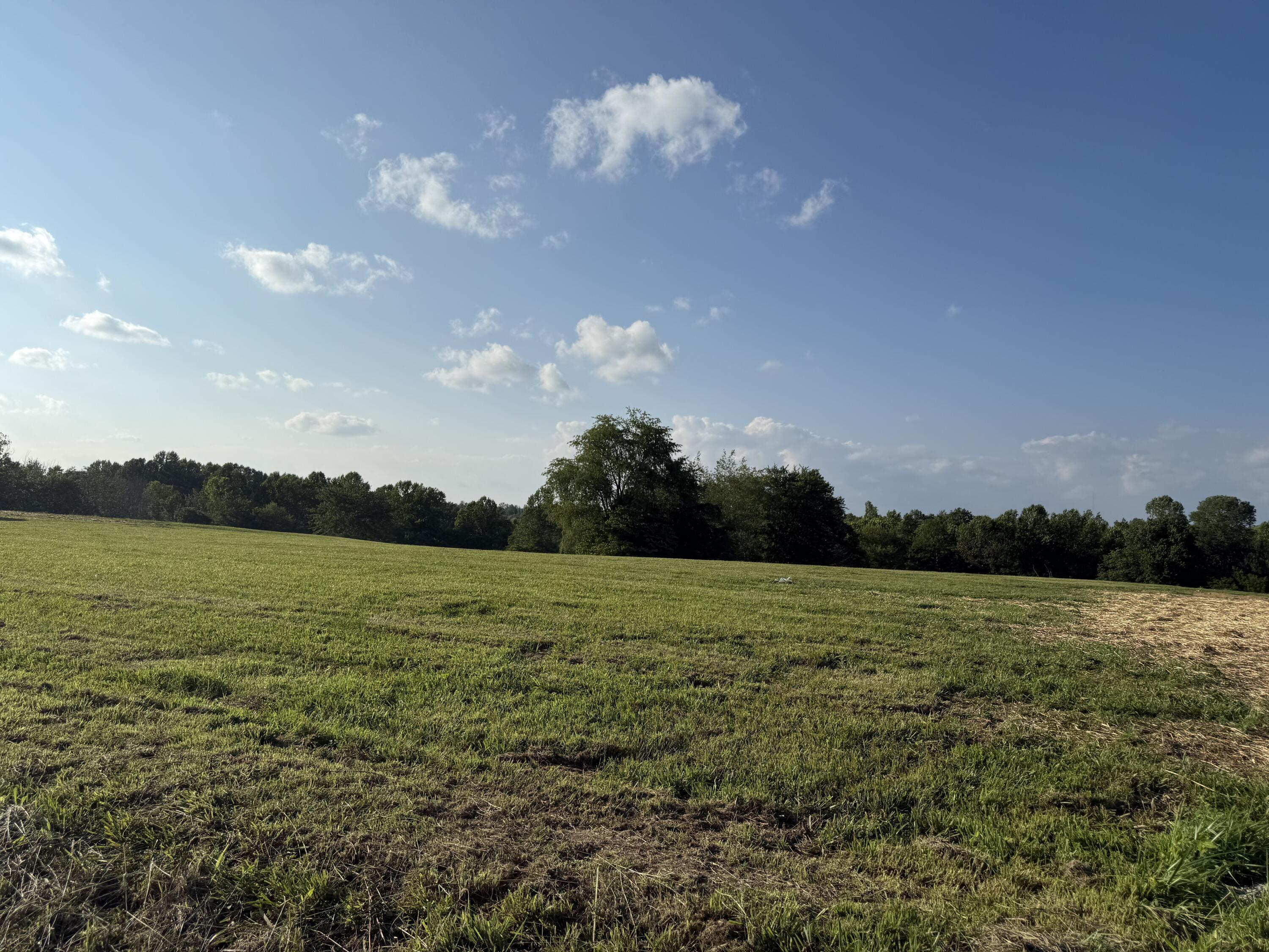 Image 2: IMG_1671