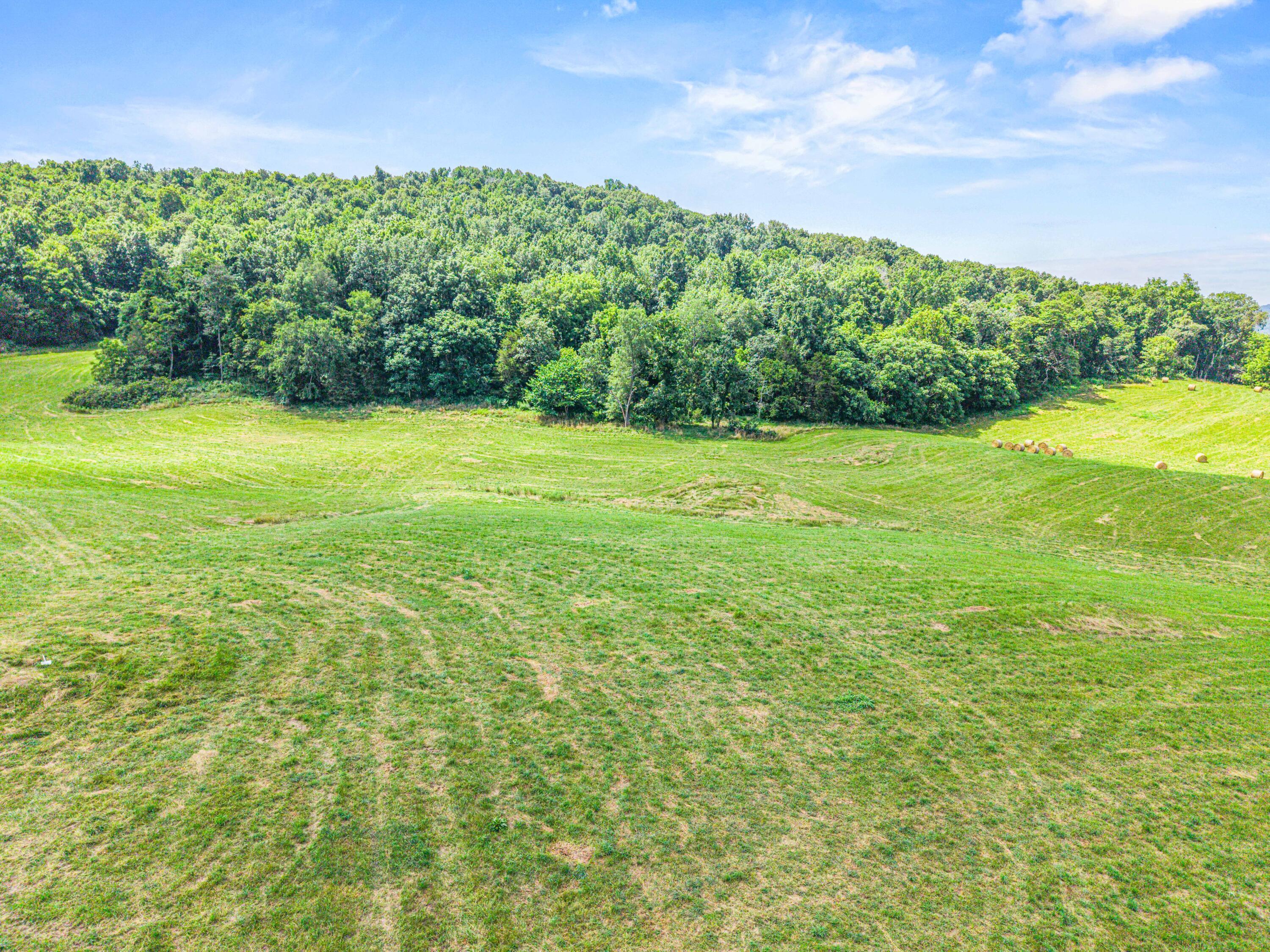 Image 1: 44 Acres Photo-01