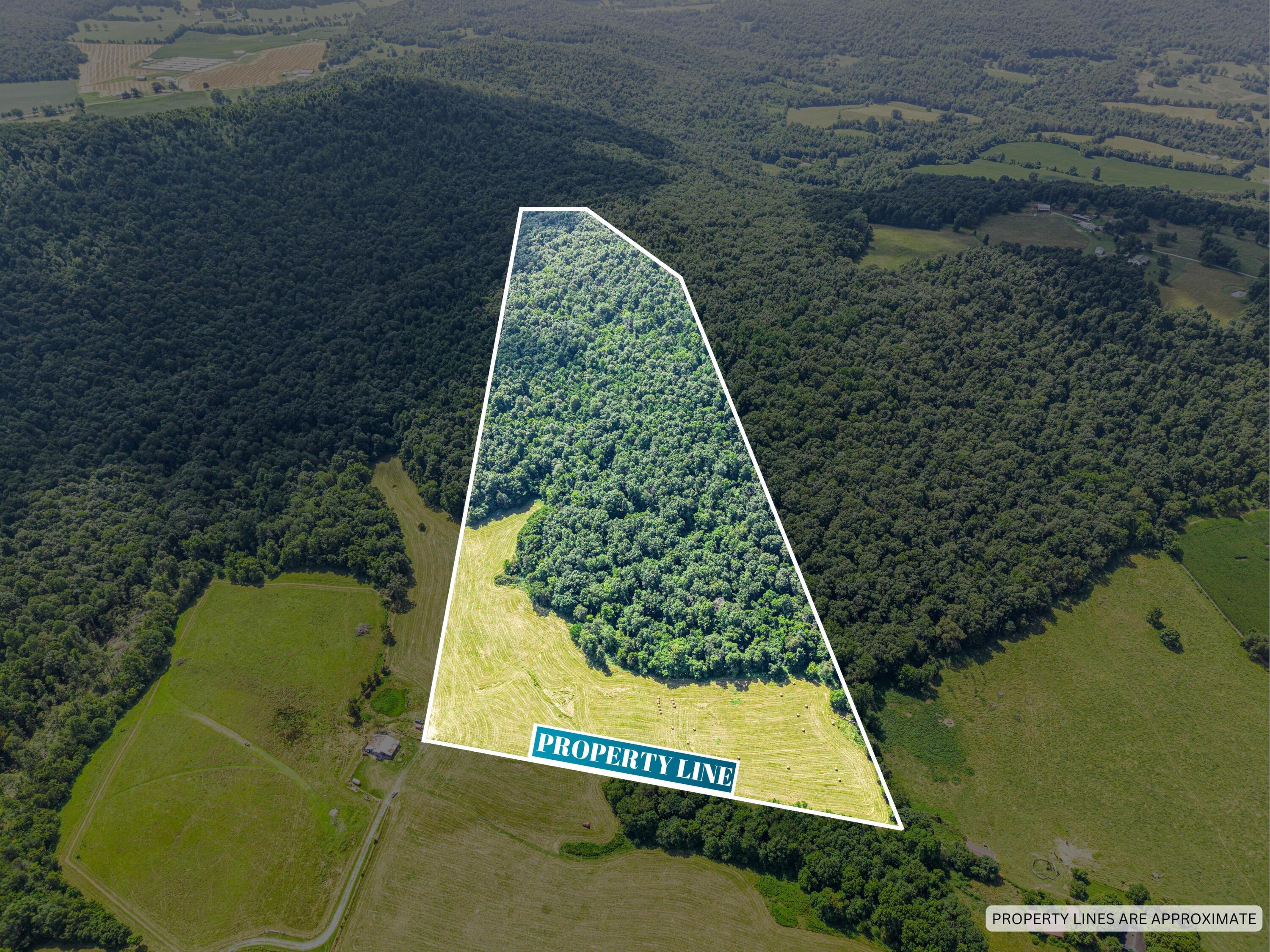 Image 2: PROPERTY LINE-4